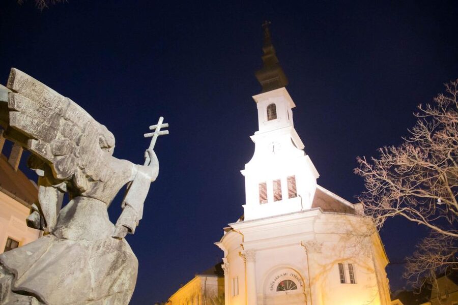 2 Hours Buda Castle Walking Tour - Walk with a Historian - Who will get the most from this walking tour?