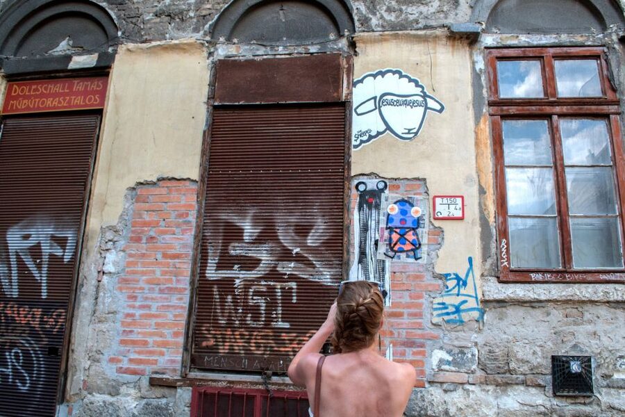 Alternative Budapest Walking Tour - Reading Budapest through street art