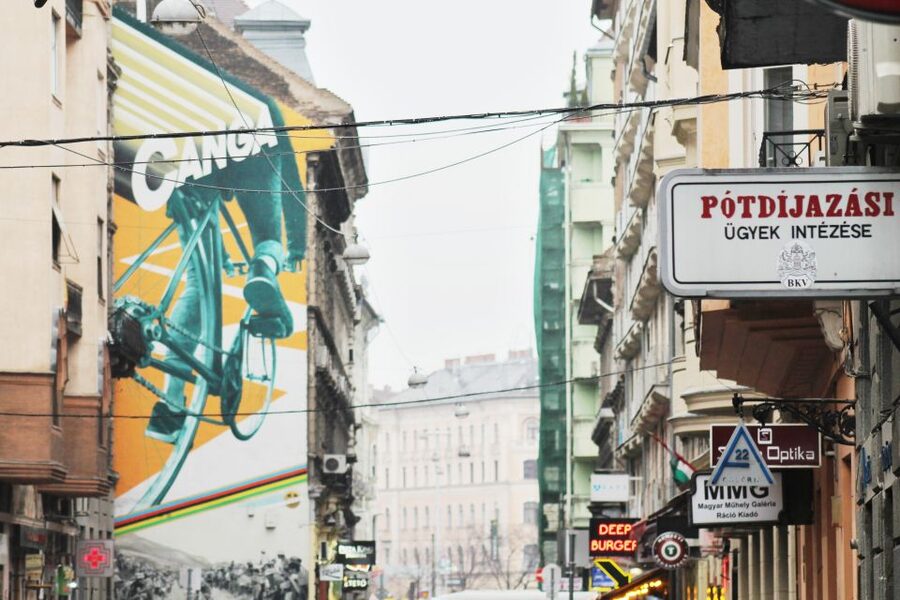 Alternative Budapest Walking Tour - Ruin bars with more than drinks