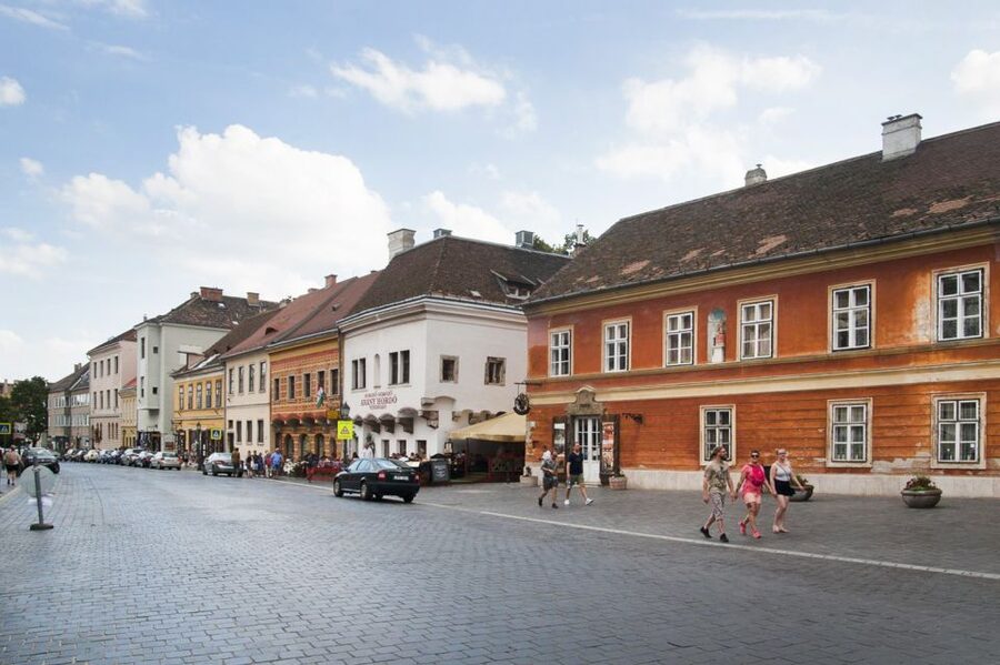 Budapest: Buda Castle Walking Tour in German - Why Buda Castle works best on foot