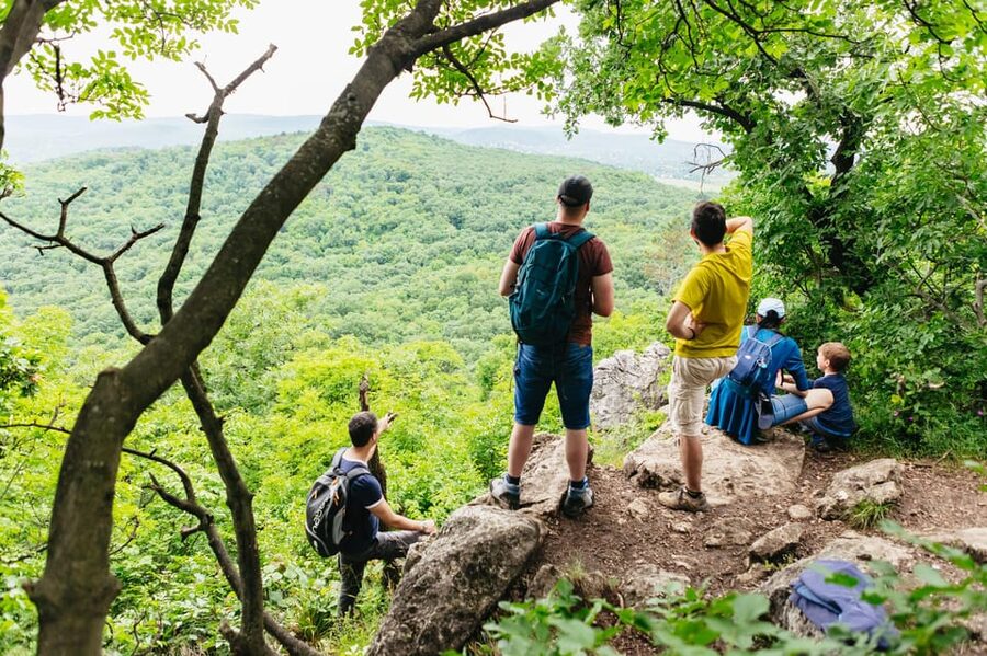 Budapest: Buda Hills Guided Hiking Tour with Optional Lunch - From central Budapest to Normafa