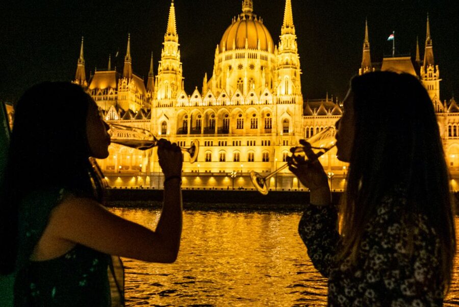Budapest: Candlelit Dinner River Cruise with Live Music - The four-course dinner, one choice at a time