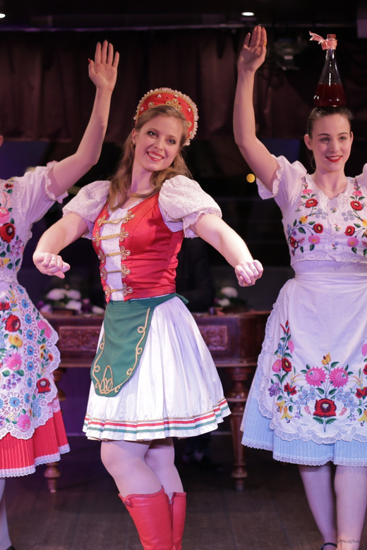 Budapest: Danube Cruise with Folk Dancing and Drinks - What the $51 price buys you on the Danube