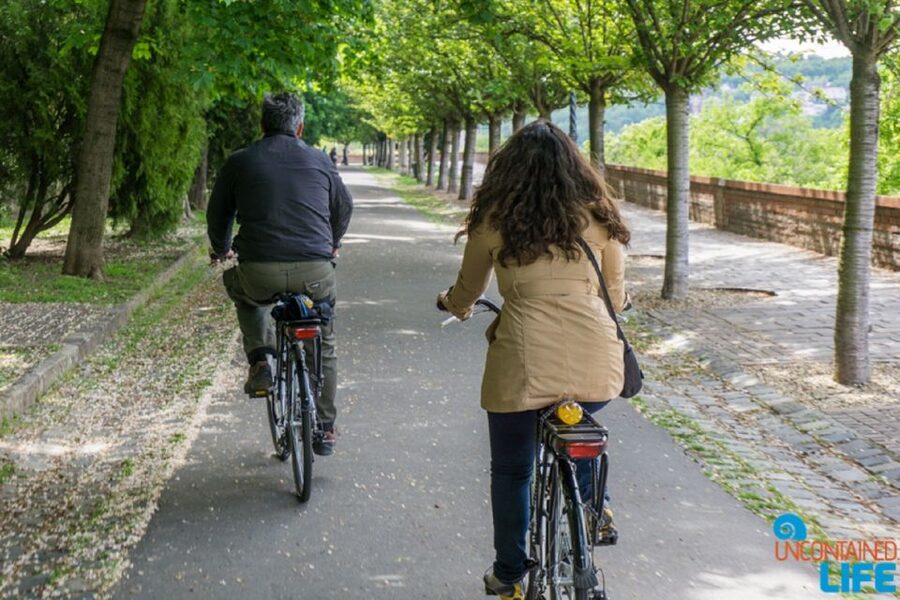 Budapest: E-Bike Guided Tour and Castle Hill - Climbing Castle Hill by electric bike