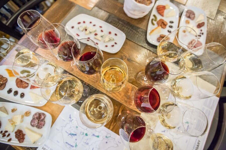 Budapest: Essentials of Hungarian Wine Tasting Class - Why Hungarian wine is worth two hours of your Budapest time