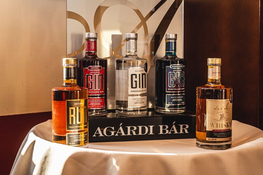 Budapest: Hungarian Whisky, Gin, and Pálinka Tasting - Why palinka deserves an afternoon