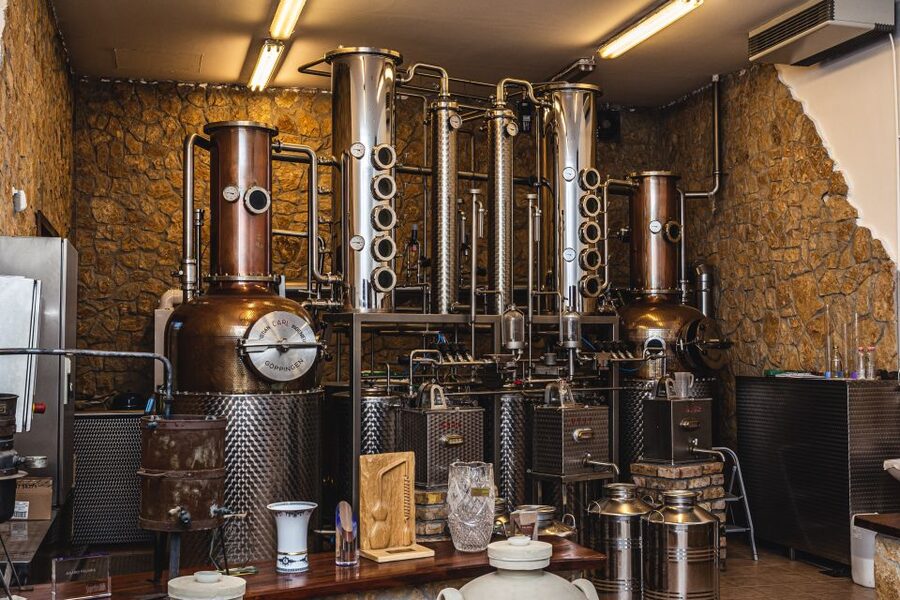Budapest: Hungarian Whisky, Gin, and Pálinka Tasting - Miki’s role as guide