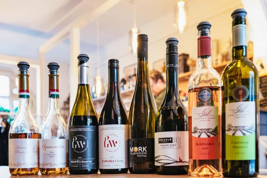 Budapest: Hungarian Wine Tasting with 7 Wines and Tapas - What the two-hour itinerary feels like