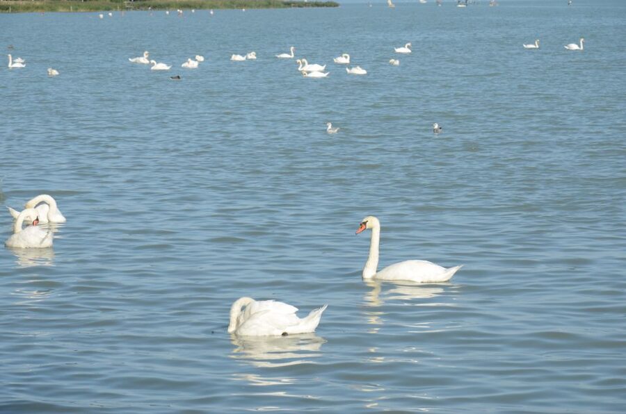 Budapest: Lake Balaton and Herend Full-Day Private Tour - Is $436 per person a fair price?