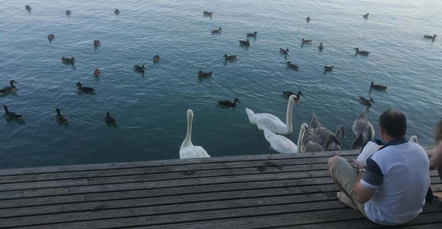 Budapest: Lake Balaton & Herend Porcelain Private Day Tour - Why Lake Balaton makes a good Budapest day trip