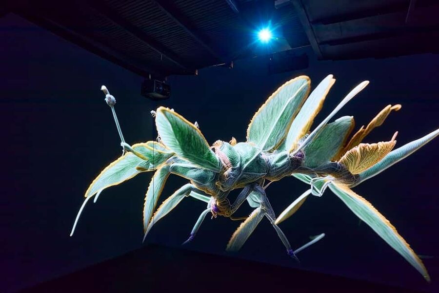 Budapest: Light Art Museum - Immersive New Media Experience - What the $18 admission delivers