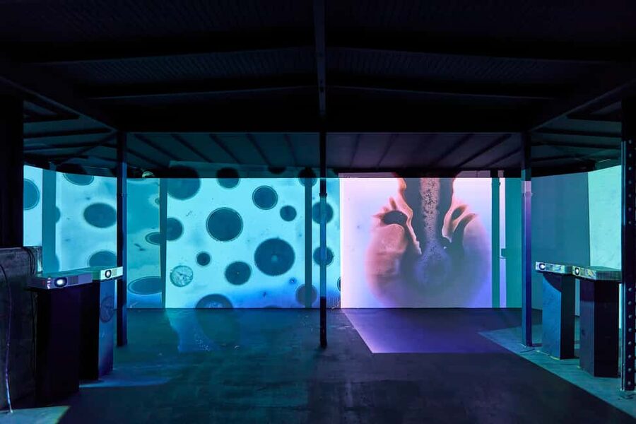 Budapest: Light Art Museum - Immersive New Media Experience - Timing, ticket details, and practical planning