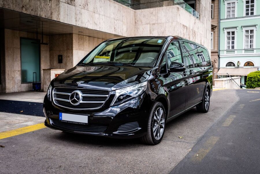 Budapest: Private Luxury Sightseeing Tour - City Park, Heroes Square, and Széchenyi Bath