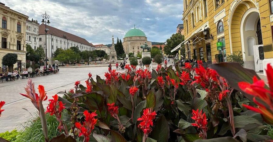 Budapest: Private Walking Tour with a Local Guide - Key points to know before booking