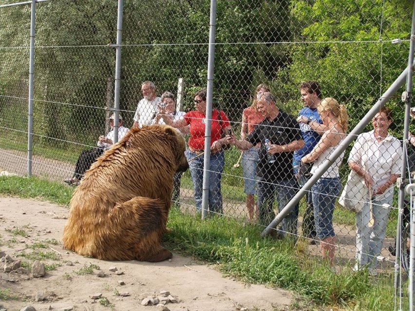 Budapest: Transport & Guided Tour of Bear and Wolf Sanctuary - Starting at Batthyány tér beside the Danube
