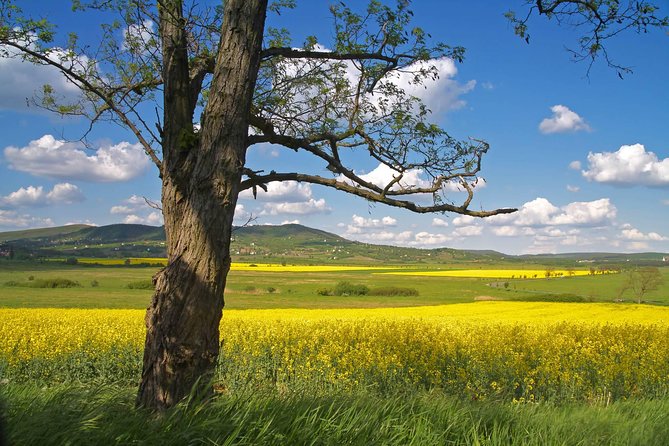 Budapest-Vienna One-Way Sightseeing Transfer - Why this Budapest to Vienna route works