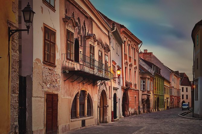 Budapest-Vienna One-Way Sightseeing Transfer - The long day, the vehicle, and your luggage