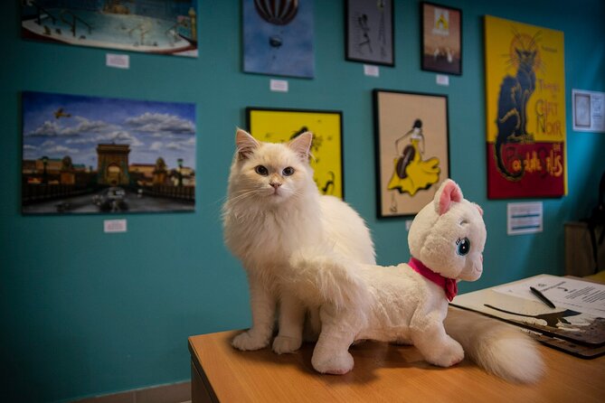 Cat Museum Budapest Entry Ticket - Starting downstairs with Cats in the World