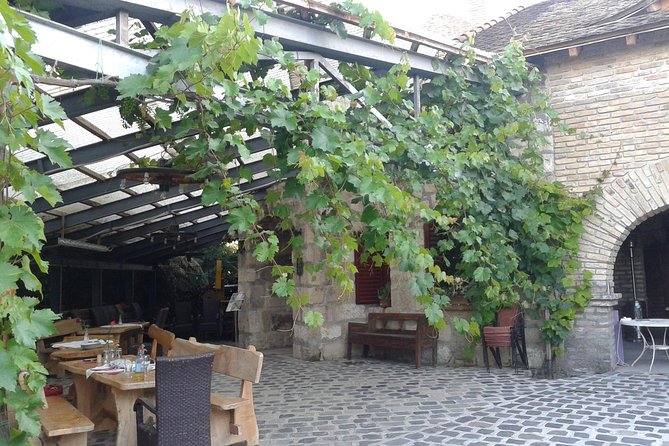 Countryside Half-day Gastro-Wine Tour from Budapest Meal & pickup - The drive from Opera to the vineyards