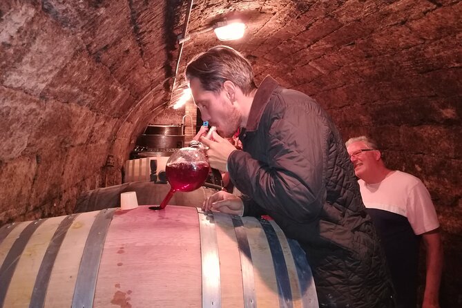 Countryside Half-day Gastro-Wine Tour from Budapest Meal & pickup - The guides shape the experience