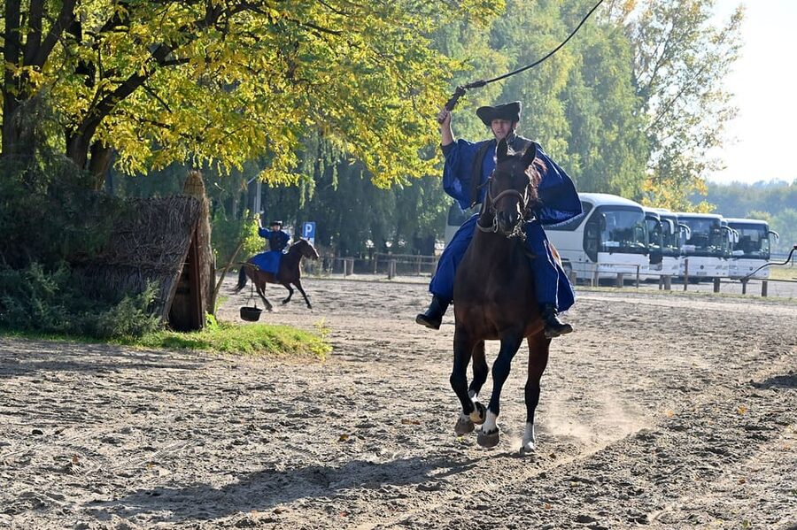 Countryside ranch, horse show & lunch - Should you book it?