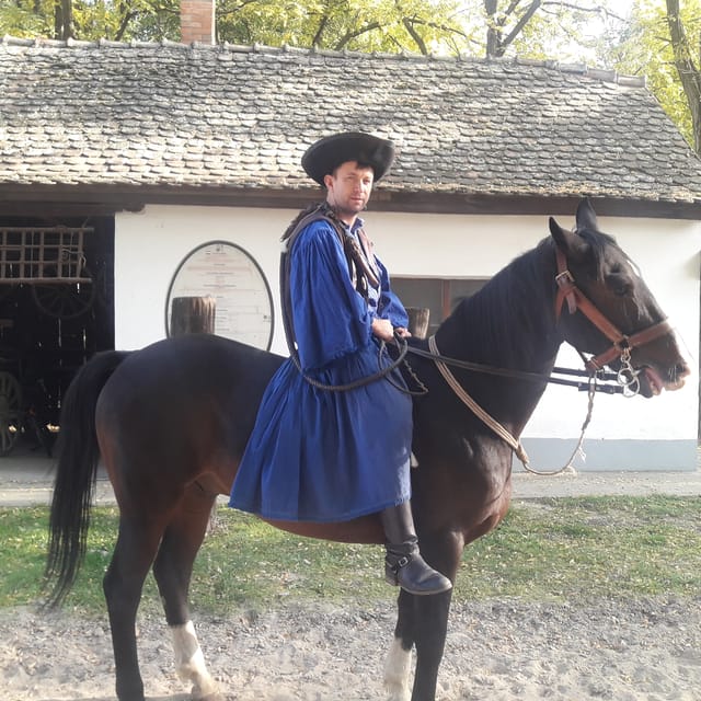 Countryside ranch, horse show & lunch - Goulash, strudel, wine, and palinka