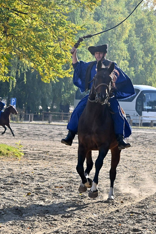 Countryside ranch, horse show & lunch - Who should book this ranch outing?