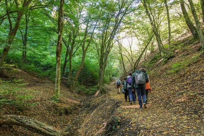 Danube Bend Hiking and Kayaking - A possible swim and a relaxed riverside finish