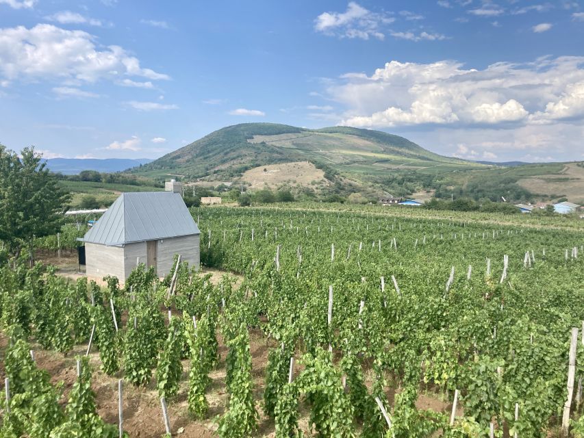 Eger: Countryside, Culture, and Wine Private Tour - Why Eger makes a strong day trip from Budapest