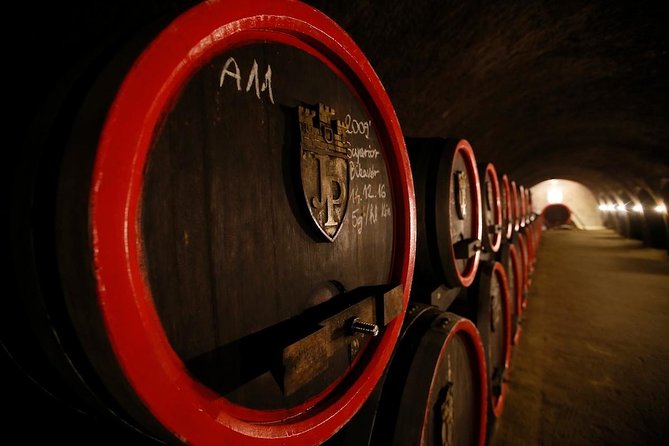 Eger Private Full-Day Wine Tasting Tour and Sightseeing from Budapest - Eger Castle and the city views