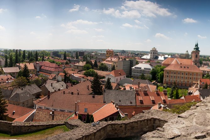 Eger Private Full-Day Wine Tasting Tour and Sightseeing from Budapest - What the private format is worth