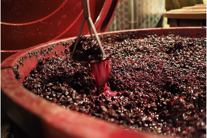 Etyek Private Half-Day Wine Tasting Tour from Budapest - Why private transport changes the experience