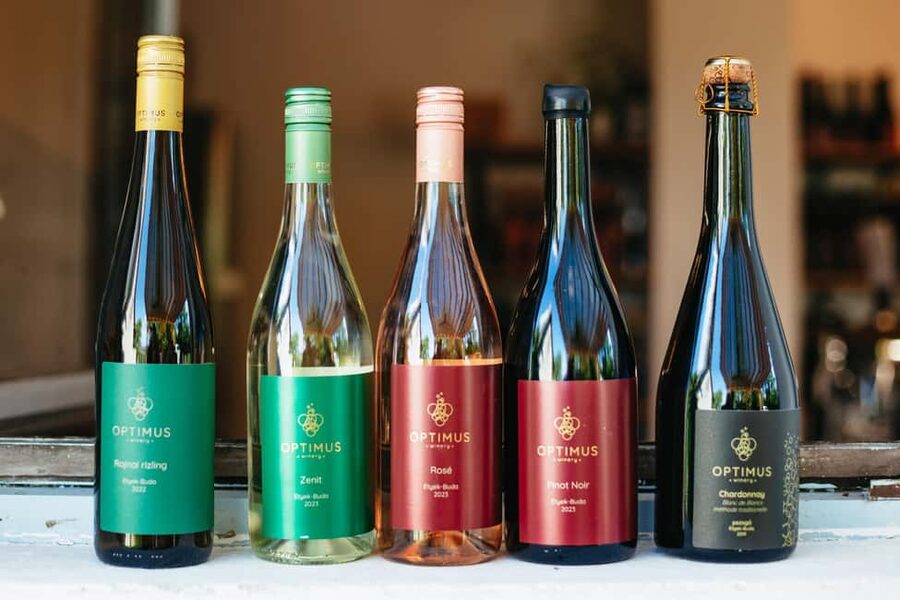 From Budapest: Etyek Wine Tasting Tour with 3-Course Meal - What the guides add