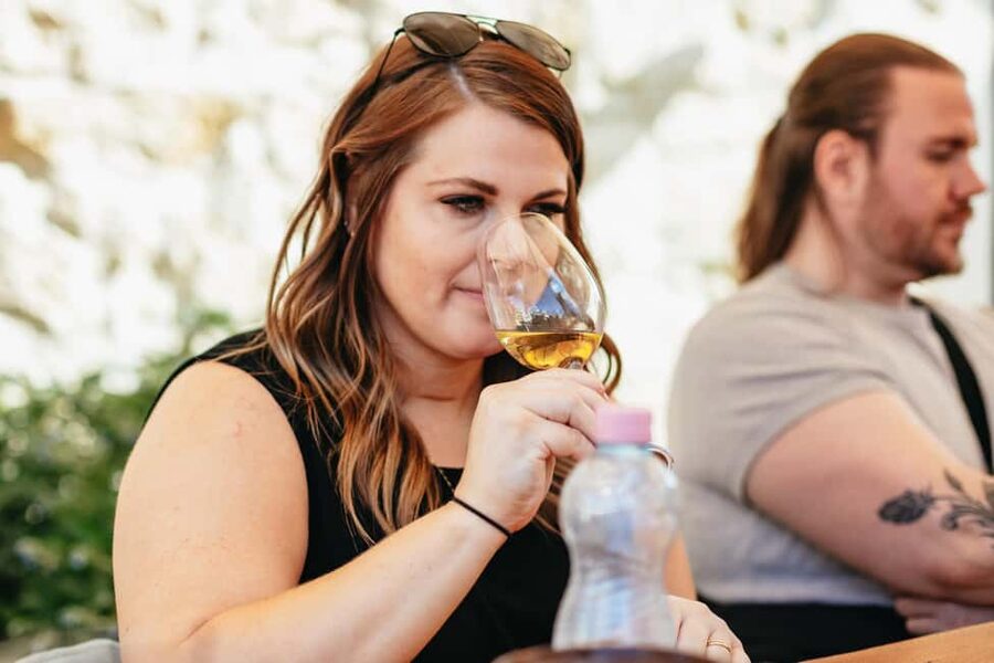 From Budapest: Etyek Wine Tasting Tour with 3-Course Meal - Food, pacing, and drinking tips