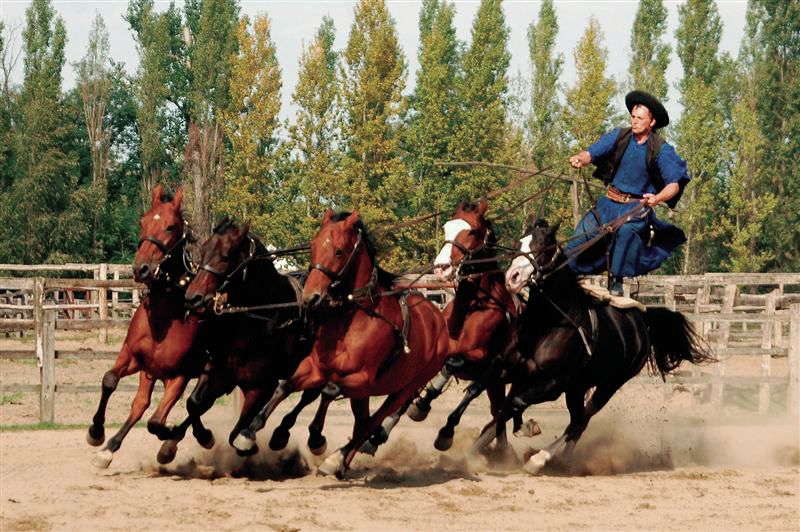 From Budapest: Full-Day Puszta Tour with Lunch and Show - Kecskemét: a useful first stop