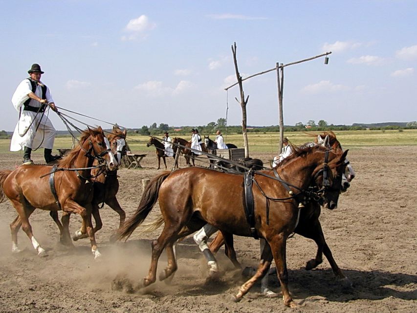 From Budapest: Full-Day Puszta Tour with Lunch and Show - Arriving at the Lajosmizse ranch