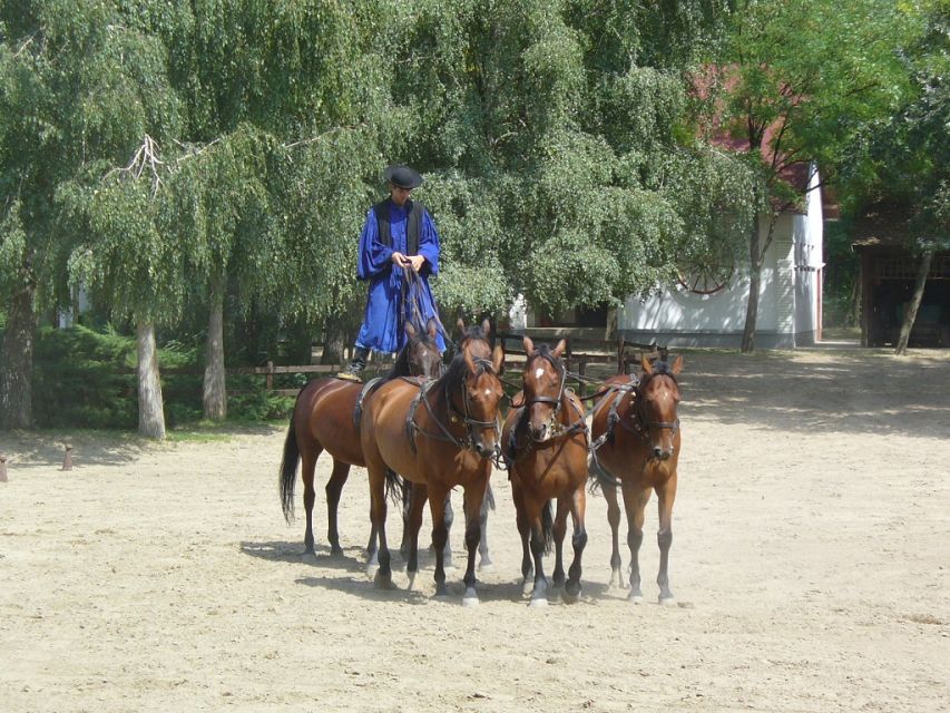 From Budapest: Full-Day Puszta Tour with Lunch and Show - The horse-drawn carriage ride