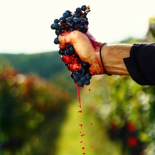 From Budapest: Guided Tour of Eger with Wine Tasting - Who will enjoy this Eger day trip?