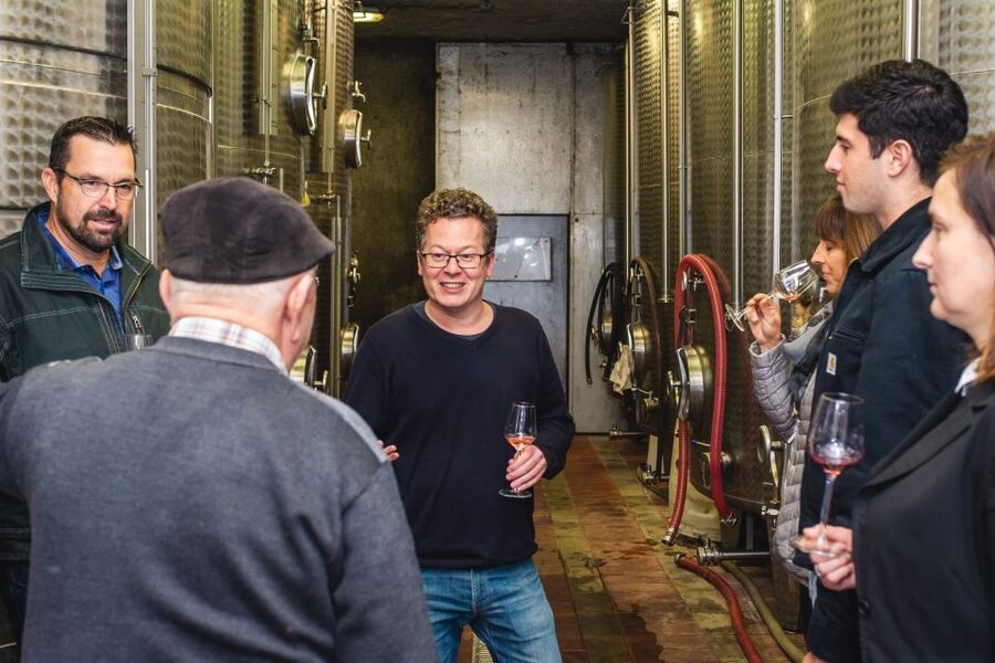 From Budapest: Mátra Hills Wine Tour - What $341 buys you