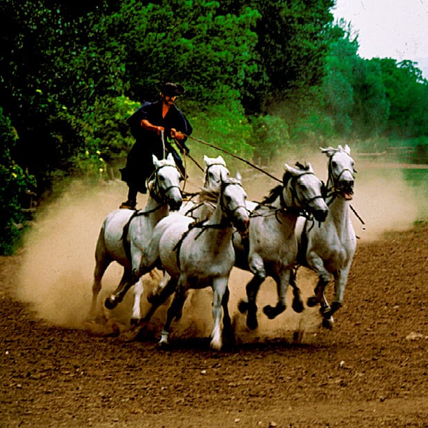From Budapest: Puszta Horse Show and Countryside Visit - Kecskemét gives the day a town, not just a ranch
