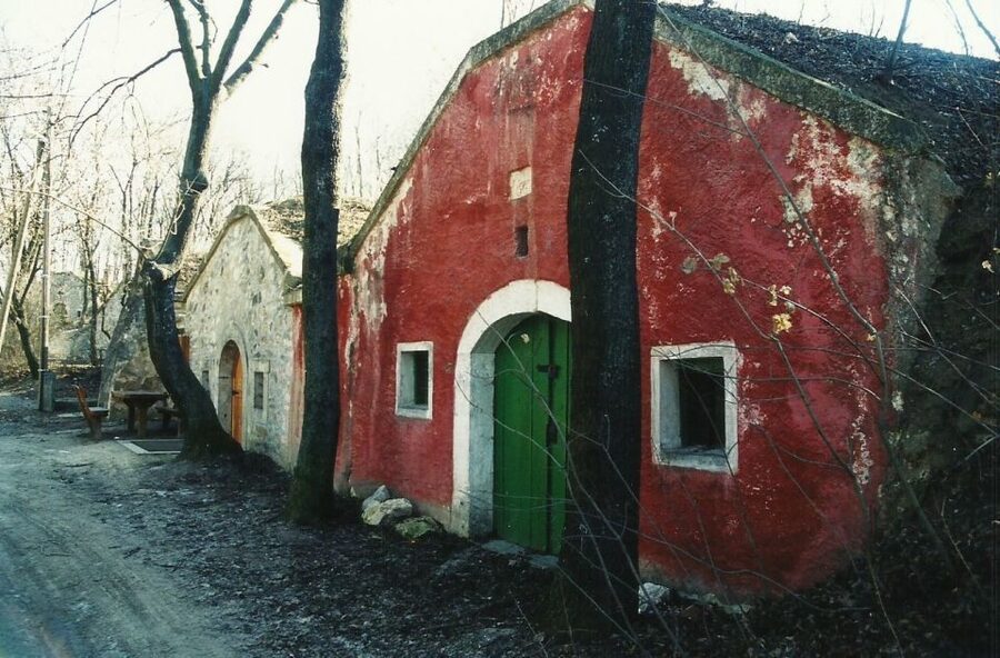 From Budpaest: Páty Wine Village Tour with Tastings - Inside Páty’s old cellar burrows