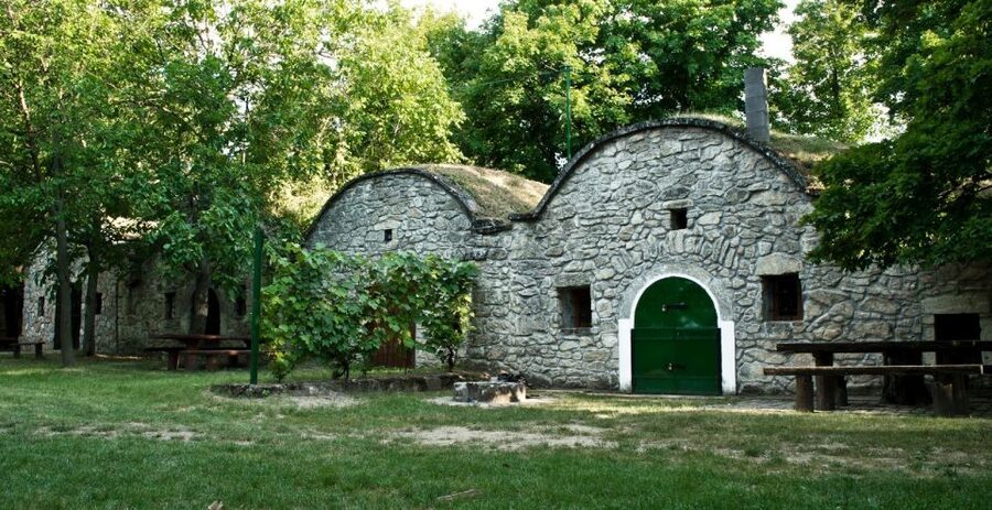 From Budpaest: Páty Wine Village Tour with Tastings - Is $93 a fair price?