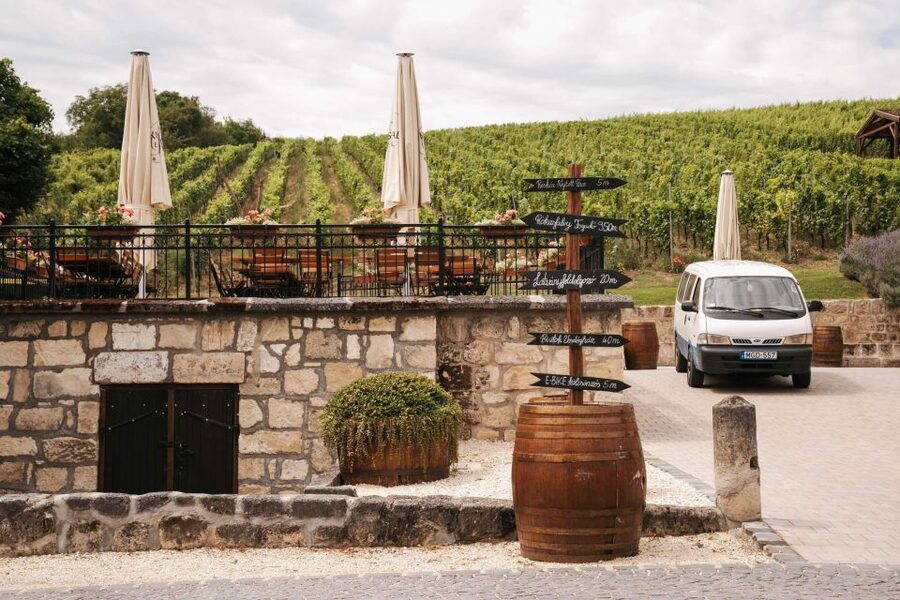 Guided wine tasting at Rókusfalvy Estate - Inside the press house, four wines or champagnes
