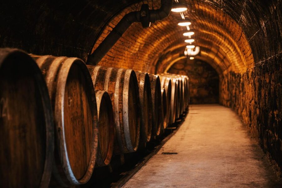 Guided wine tasting at Rókusfalvy Estate - Walking among the vines