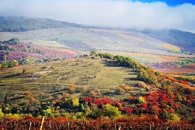 Home to Bull's Blood red wine! Eger with winetaste private tour - Why Eger makes a good day away from Budapest