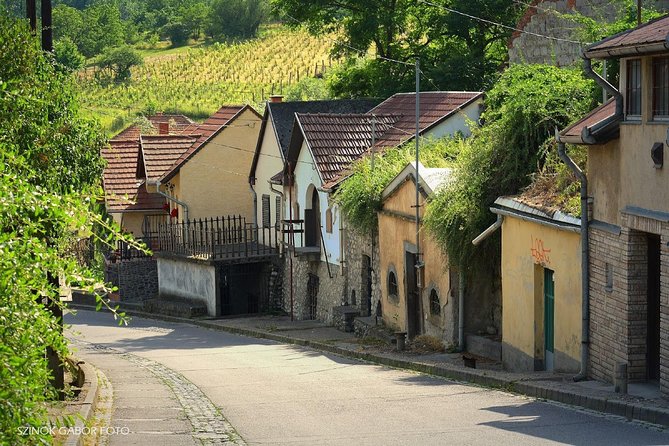 Home to Bull's Blood red wine! Eger with winetaste private tour - Baroque churches around Egers center