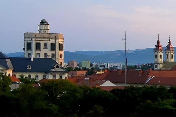 Home to Bull's Blood red wine! Eger with winetaste private tour - What the $420 price includes