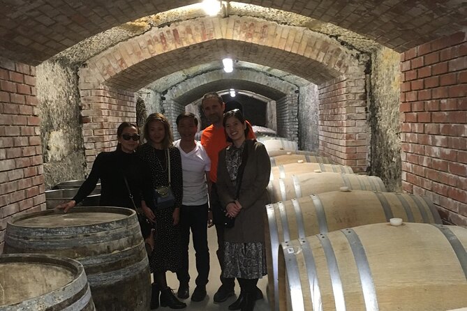 Home to Bull's Blood red wine! Eger with winetaste private tour - Eger Castle and the 1552 defense