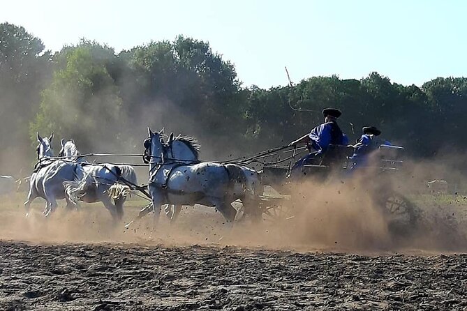 Horseshow on the Hungarian Puszta, private tour from Budapest with entry! - A stable visit adds useful context