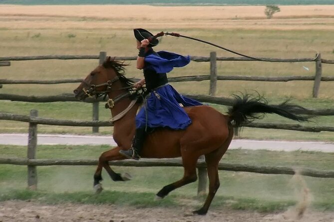 Horseshow on the Hungarian Puszta, private tour from Budapest with entry! - How the private format changes the experience